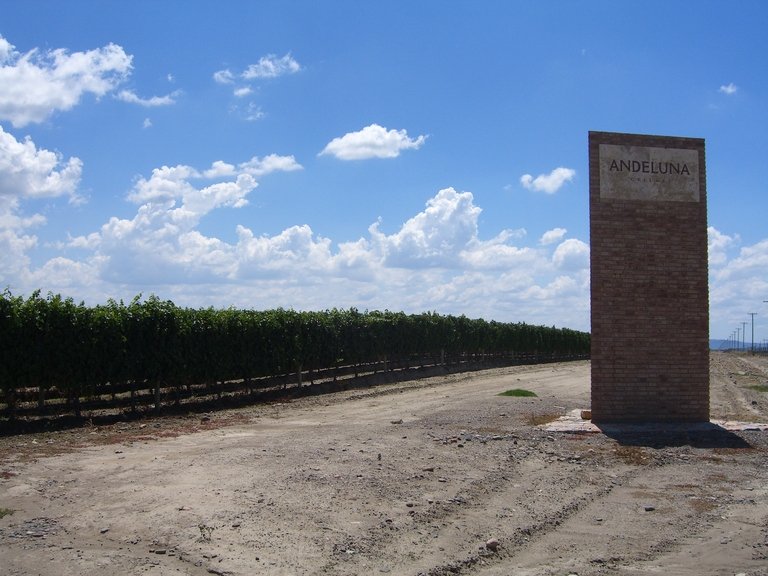 Students preparing food in cooking class