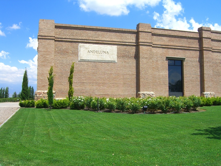 Cooking class ingredients and preparation