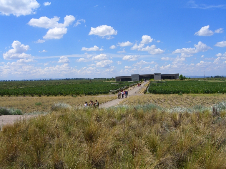 Cooking class group activity