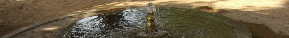 Fountain at the Alhambra, Granada, Spain
