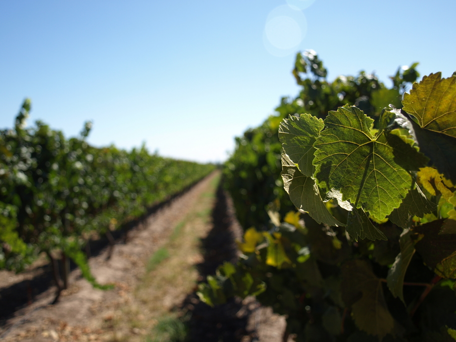 Spanish language learning materials